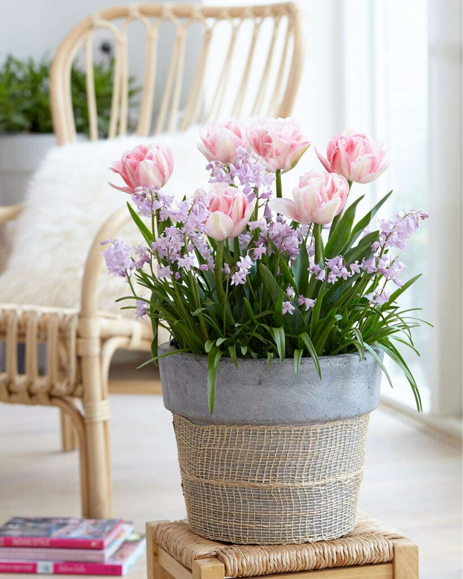 Bollenmengsel 'Pink Suffusion'
