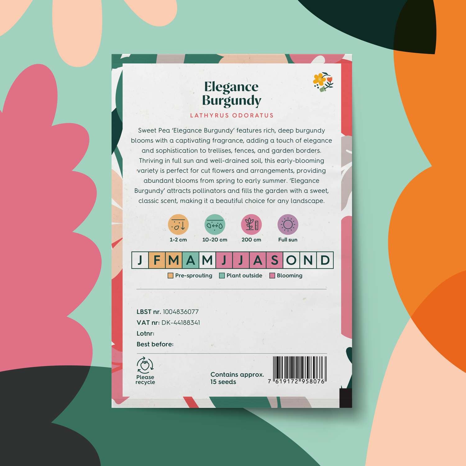 Pronkerwt 'Elegance Burgundy' (zaden)