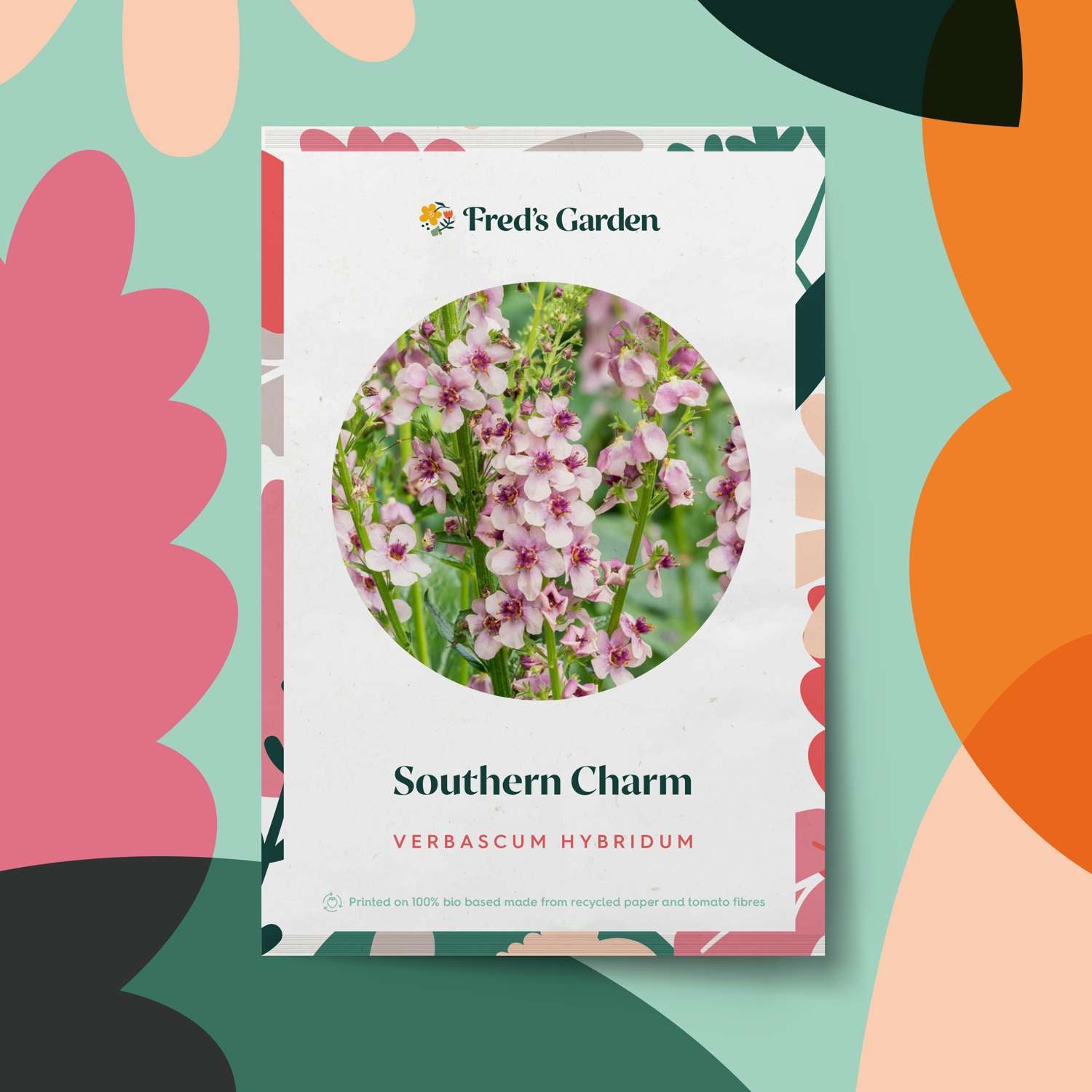 Toorts 'Southern Charm' (zaden)