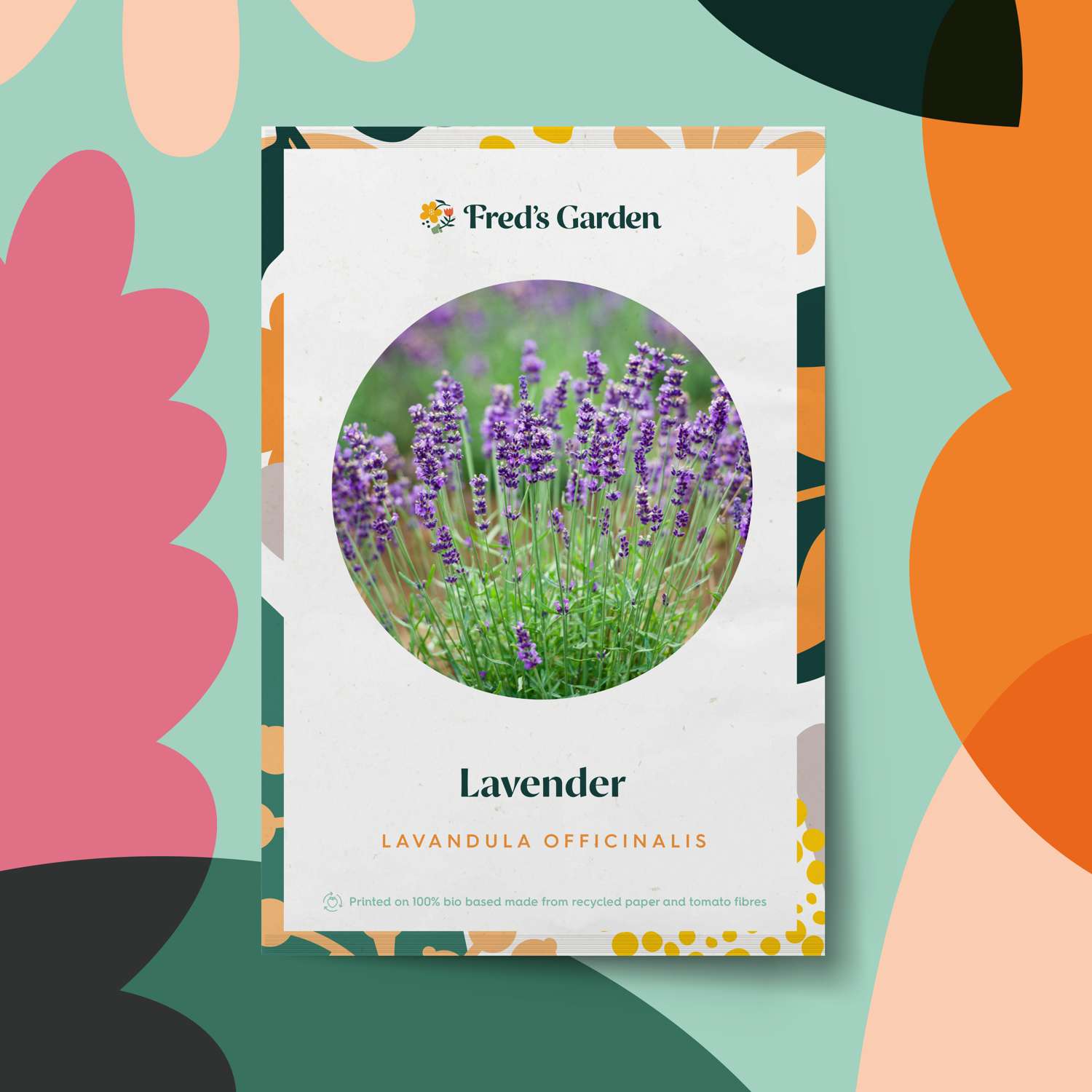 Lavendel (zaden)