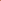 Pioenroos 'Coral Sunset'