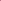 Roos 'Boscobel™' (Auscousin)