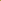 Roos 'Golden Celebration®' (Ausgold)