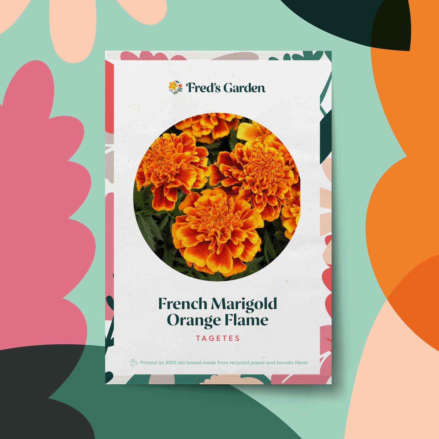 Tagetes 'French Marigold Orange Flame' (zaad)