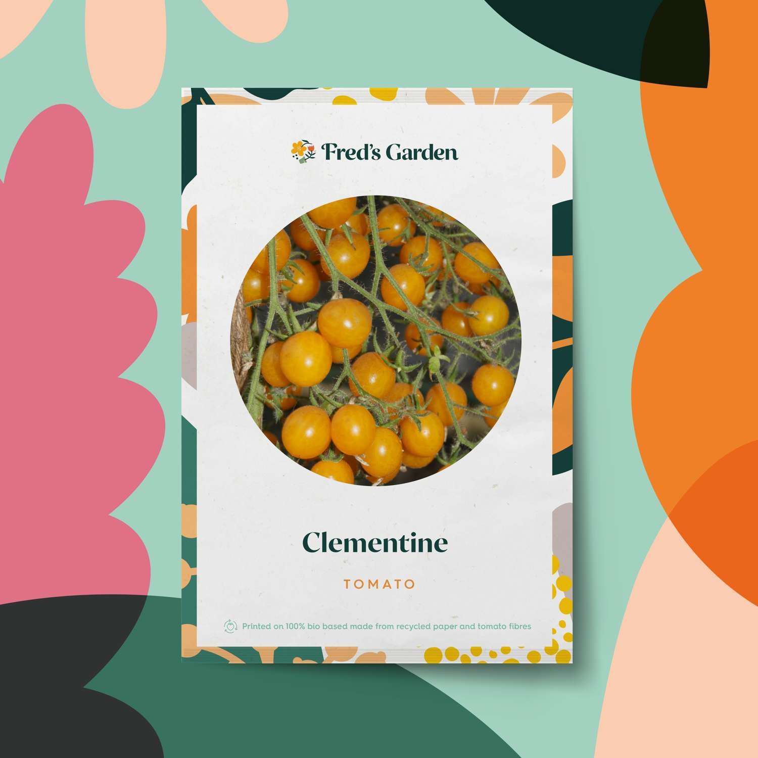 Tomaat 'Clementine' (BIO zaden)