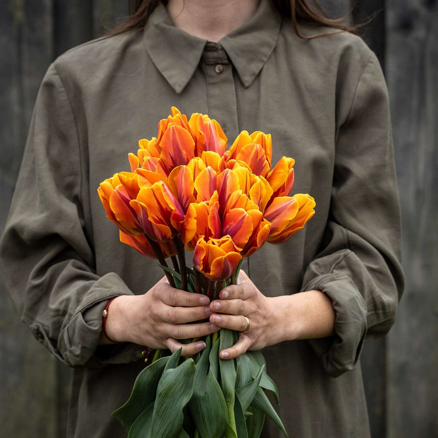Tulp 'Princess Irene'