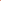 Ranonkelmengsel 'Elegance Pastello Peach'