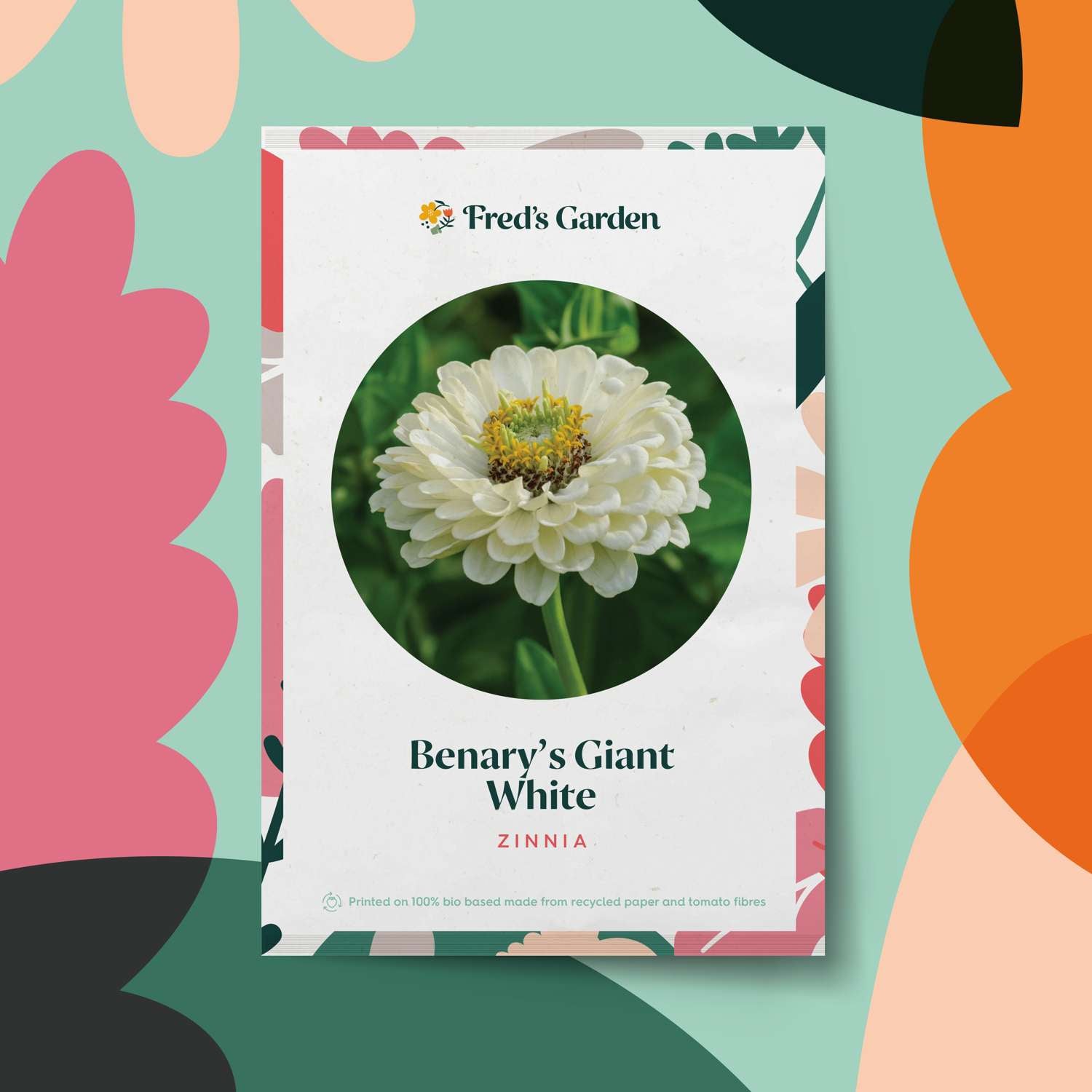 Zinnia 'Benarys Giant White' (zaden)